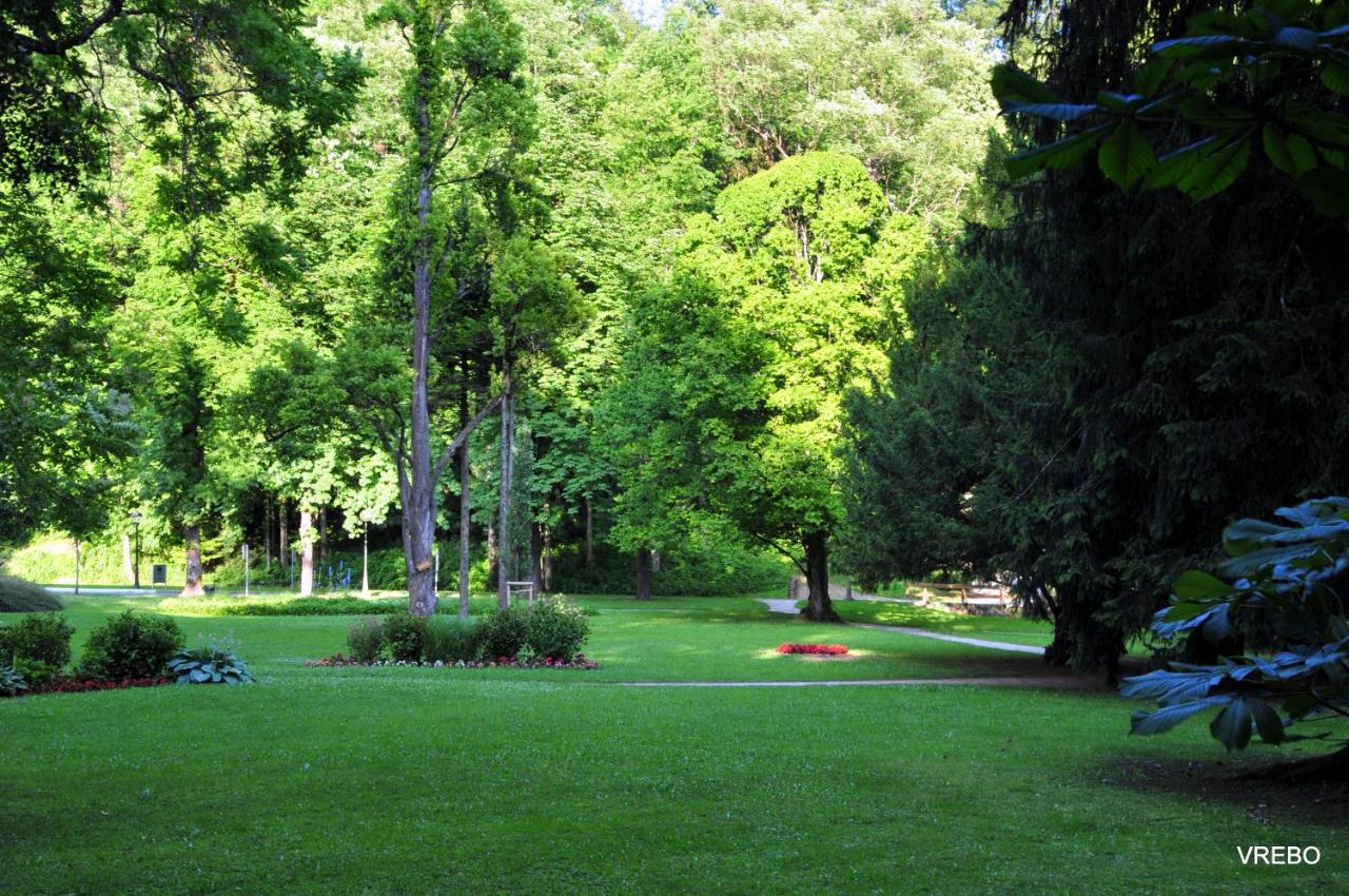 Apartma Vrba Apartment Dobrna