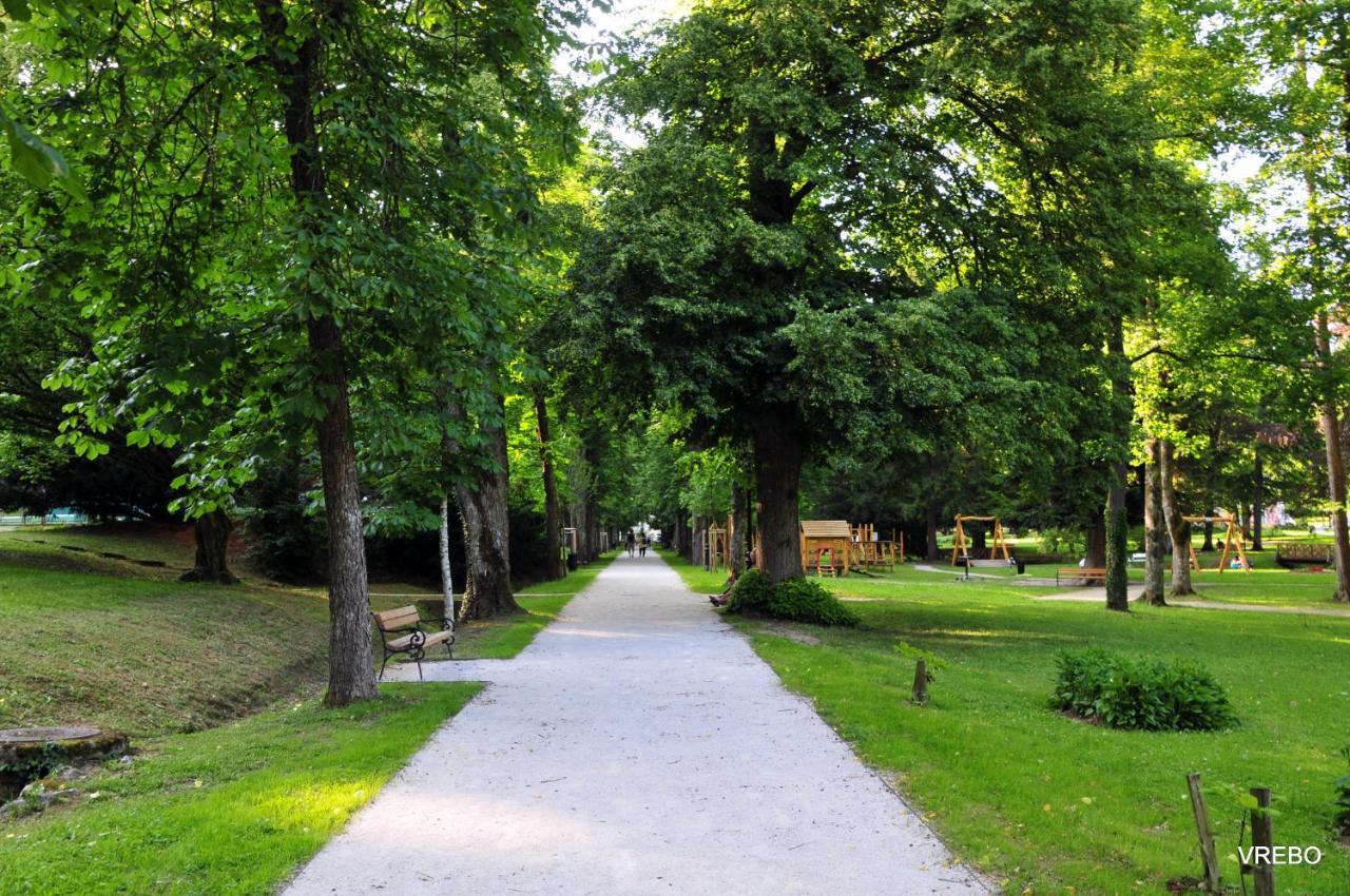 Apartma Vrba Apartment Dobrna